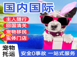 昆明长水机场托运国际宠物托运 【国